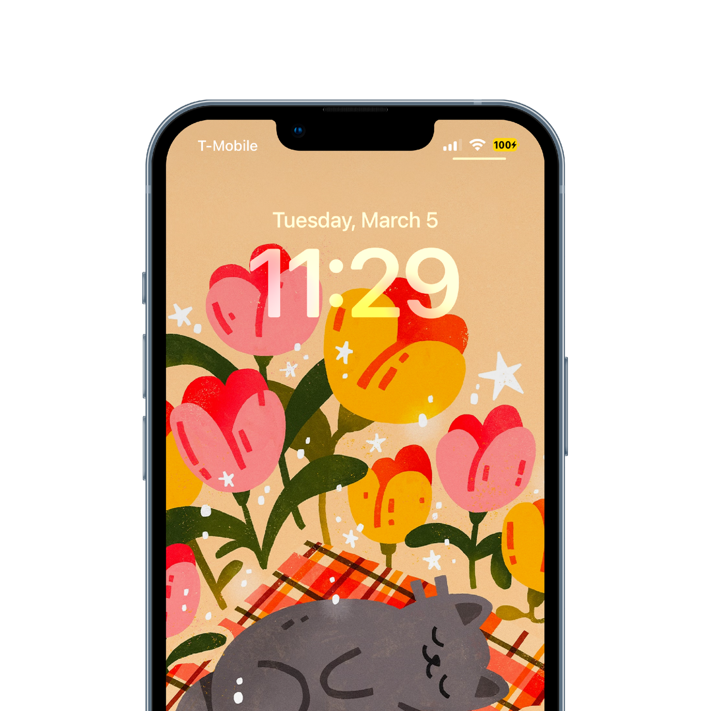 Snooze — Phone Wallpaper